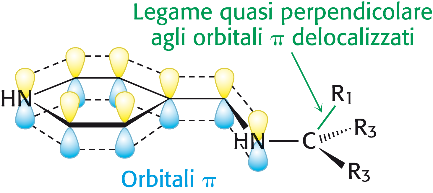 Transaminazione Il PLP agisce da catalizzatore in altre reazioni oltre che nelle transaminazioni (e.g. decarbossilazioni, deamminazioni, racemizzazioni, scissioni aldoliche).