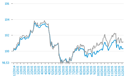 OBBLIGAZIONARIO EURO M/L TERMINE (C) Dati al 30/12/2015 Politica di investimento Cat. Assog.