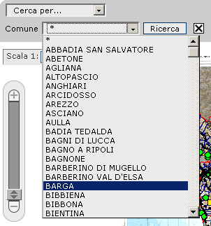 Sezione delle ricerche Una seconda modalità per ottenere le informazioni alfanumeriche associate agli strati informativi d interesse avviene tramite una ricerca predefinita di tipo testuale