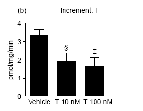 Effetto del Testosterone sulla Sensibilità all