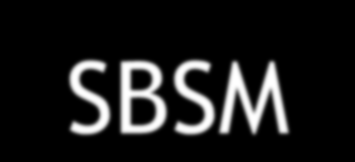 SBSM Nel DCO 25/10 viene proposta l introduzione del Sistema di Bilanciamento Semplificato basato su criteri di Mercato (SBSM) nel quale si prevede la riduzione degli elementi di maggiore complessità.