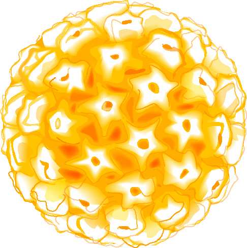 Proc Natl Acad Sci USA 1992;89:12180 4. 2.Kirnbauer et al. J Virol 1993;67:6929 36. 3. Galloway. In Current Research on Papillomaviruses. (Ed). C. Lacey.