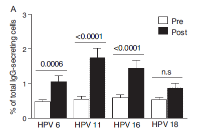 Age of recipient and number of doses differentially impact human B and T cell immune memory responses with HPV vaccination Smolen KK et al; Vaccine 2012; 30: 3572-3579 Risposta delle cellule B nelle