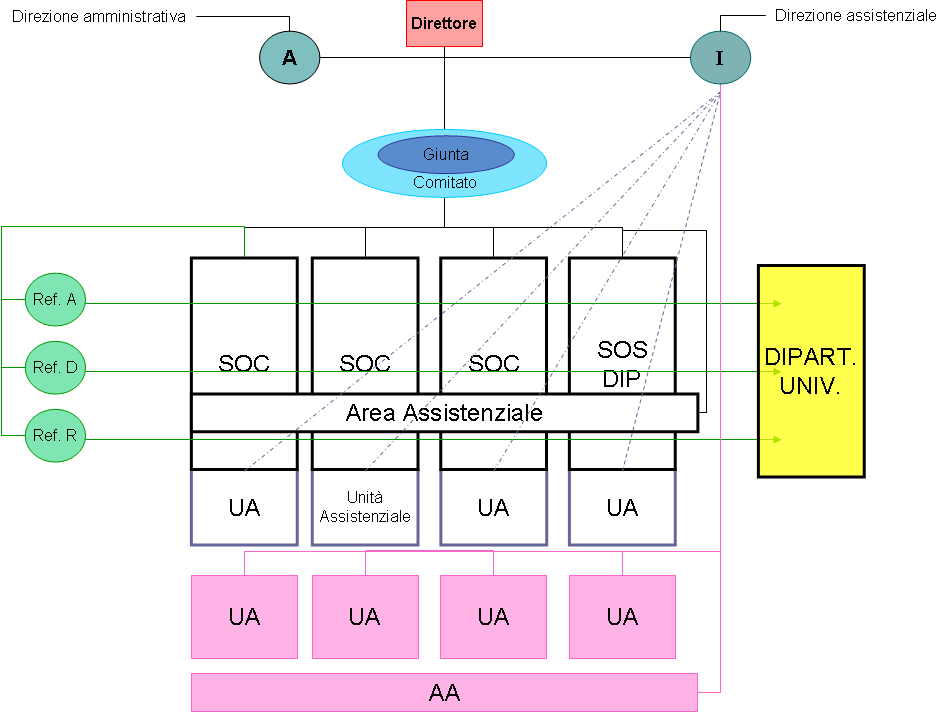 Figura 8 Modello B Divisionale con coordinatori per materia A-D-R Modello C con project manager Il terzo modello proposto, che viene rappresentato nella Figura 9, non prevede la presenza di ruoli