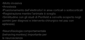 mentre l animale è sveglio Similitudine con gli studi di Penfield a cervello scoperto negli uomini (per diagnosi e intervento chirurgico nei paz con epilessia) Neurofisiologia comportamentale