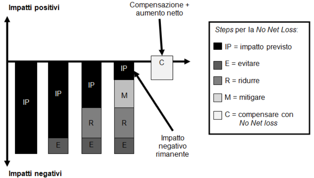 Fonte: adattato e modificato da Madsen et.al.