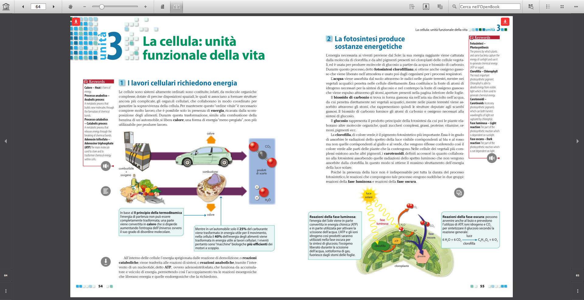 Applicazione desktop per Mac, PC e Linux Nella versione desktop la barra degli strumenti di OpenBook si attiva dal pulsante presente negli angoli della pagina in basso.