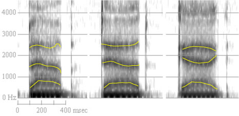 Variabilità fonetica Questi suoni oggettivamente diversi dal punto di vista spettrale