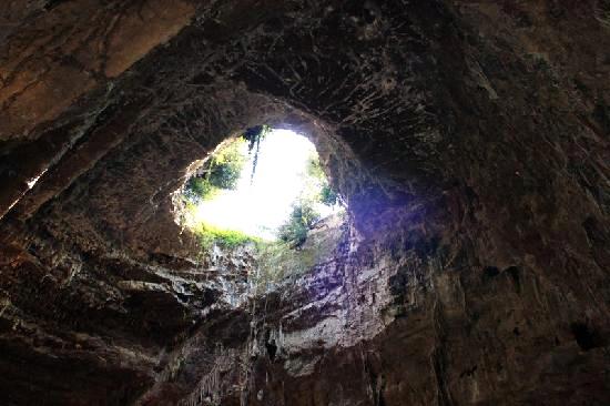 Le grotte, scoperte il 23 gennaio del 1938 dal prof.