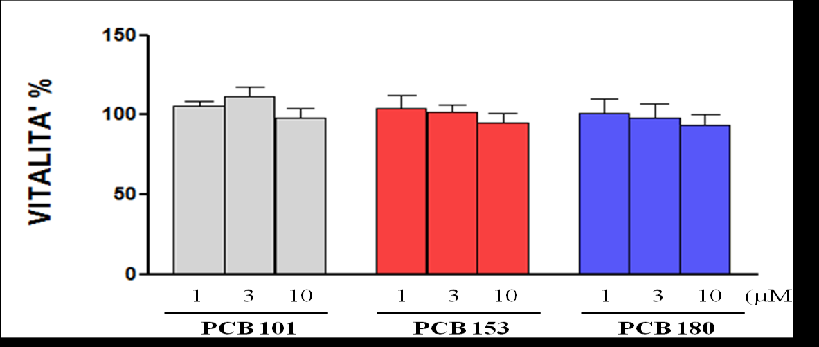 veicolo. I valori percentuali sono valutati come media±sem di tre esperimenti indipendenti. A B Figura 23: Effetto dei PCB 101, 153 e 180 sulla vitalità cellulare.