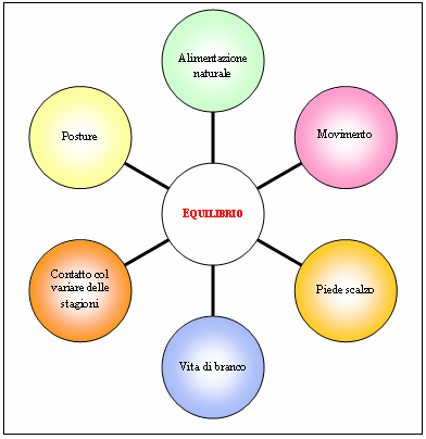 è nato; cercando di prevenire situazioni di disagio nonché la frequenza di patologie legate al tipico stile di vita del cavallo domestico gestito tradizionalmente.