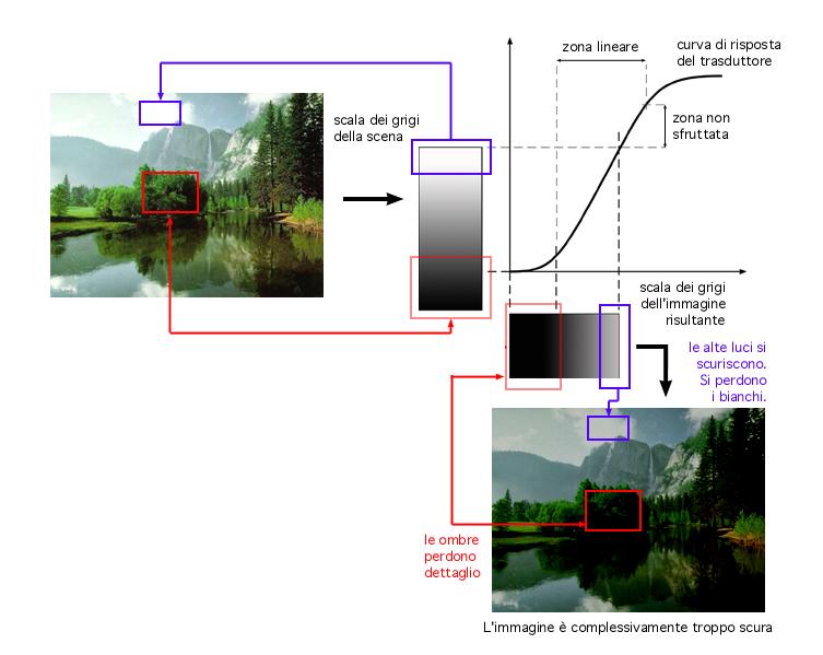 questi estremi, il comportamento è di tipo non lineare, cioè non c è più proporzionalità diretta tra segnale ed intensità luminosa.