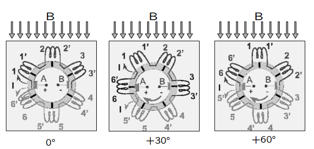 11 Attravers le spazzle A e B il circuit viene percrs da due crrenti circa uguali in mdul (determinan la crrente cmplessiva di armatura).