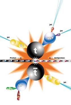 La fisica di ATLAS Uno degli obiettivi degli esperimenti di LHC è anche quello di migliorare la precisione delle misure di fisica del Modello Standard (sistema di particelle fondamentali e forze