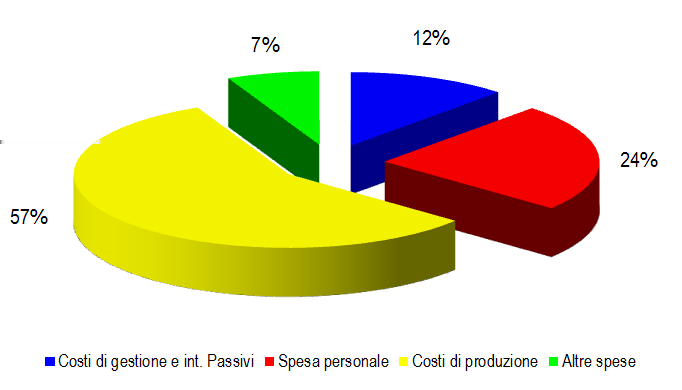 Fig. 8 Festival e rassegne. Articolazione dei costi, anno 2013 Fonte: nostre elaborazioni su consuntivi 2013 relativi alle attività finanziate dalla L.R.