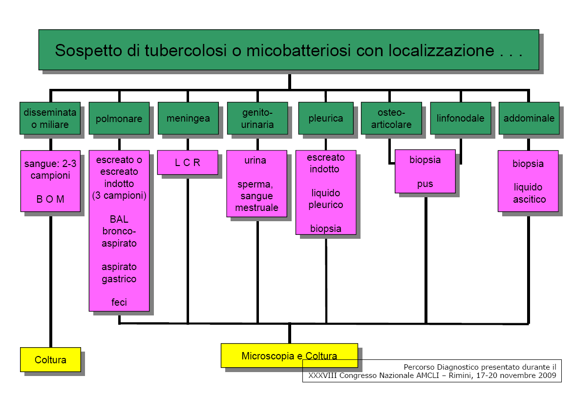 Comunicazioni del laboratorio In caso di esiti positivi (microscopici, colturali, amplificazione genica) per MTB il laboratorio assicura la comunicazione tempestiva del risultato al medico curante.