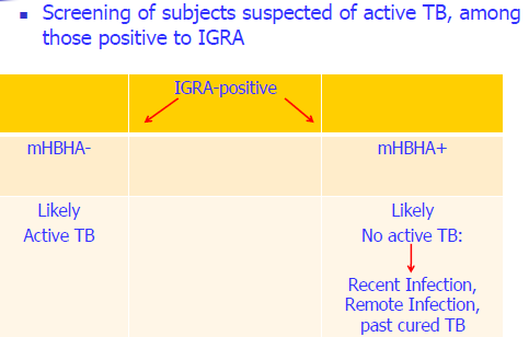 IFN-γ response to the methilated HBHA of M. tuberculosis produced in M.