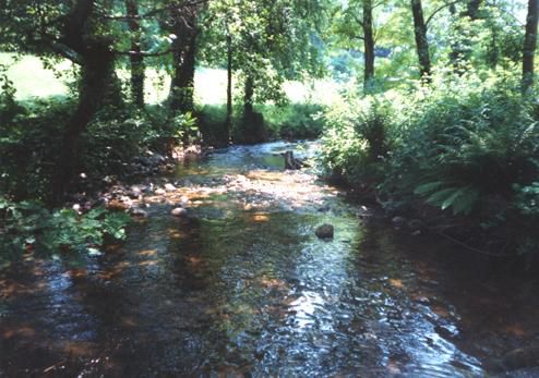 Affluenti Ticino Torrente Lenza: condizioni di