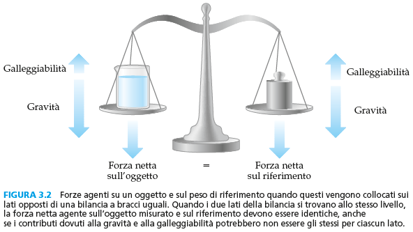 giogo fulcro