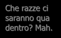 comportamentale Possono prendere il meglio dalle razze da