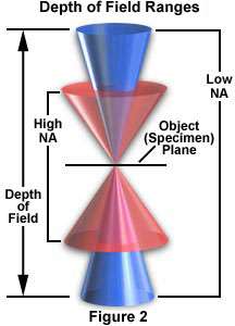 La profondità di campo A causa del profondità di campo (Depth of Field (DoF)) dell obiettivo utilizzato,