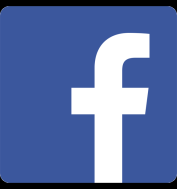 Dati Social Media Facebook official page 2.