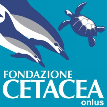 clinicaveterinariamodenasud.it ASSOCIAZIONE BENESSERE ANIMALE ONLUS -ABA www.associazionebenessereanimale.