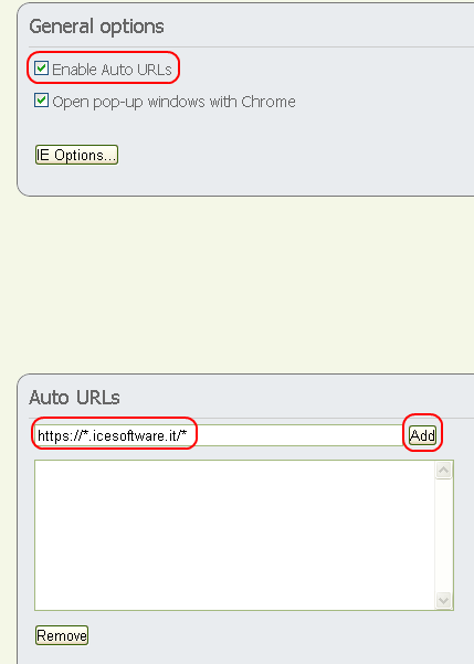 Verificare che Enable Auto URLs sia attivo. Digitare l URL https://*.icesoftware.