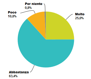 In possesso delle competenze digitali