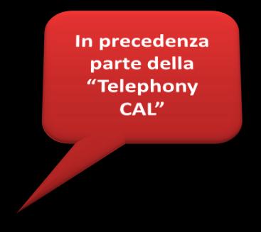 IM / Presenza Conferencig Voice Communications Server 2007 Standard CAL