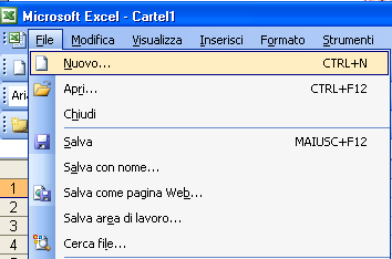 Excel una volta avviato apre un foglio caratterizzato da una griglia, suddivisa in celle.