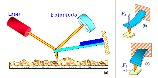 3.3 Microscopio a Forza Atomica (AFM) dove: W PS = V P U LJ r r n P r n S r dvdv, (3.16) V S in cui n S r e n P r sono le densità atomiche del campione e della punta.