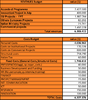 364 Budget e Piano Annuale delle Attività 2013 13 progetti commerciali per un finanziamento complessivo di 1,132,343.55 Euro e un ricavo previsto per il 2013 di 517,227.82 Euro. 6. Budget 7.