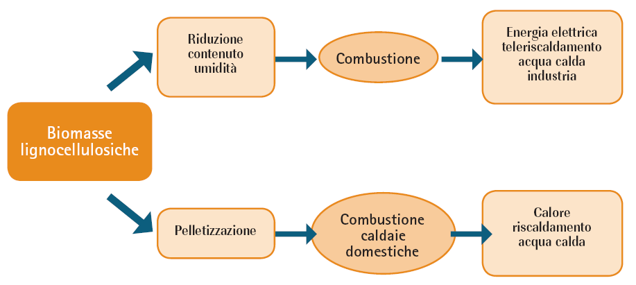 sole. In Italia esistono circa 40 grossi impianti per la produzione di energia dalla combustione di biomasse, generalmente residui della lavorazione del legno, per una potenza elettrica totale di