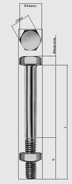 BULLONI La normativa DIN 601 definisce la geometria esatta del bullone e le classi di acciaio Va