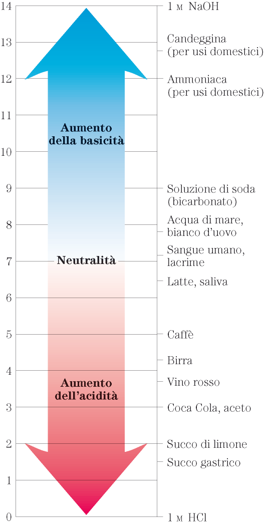 Relazione tra ph, [H + ] e [OH