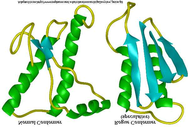 Mediante prove sperimentali su cellule geneticamente modificate (CHO) che producono una PrP mutante, è stato possibile stabilire che il processo di conversione che porta alla PrPsc avviene in tre