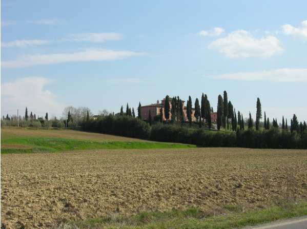 Per quanto attiene alla collocazione delle nuove costruzioni è individuata nell area costituita dall ambito di pertinenza degli edifici esistenti comprendente la villa (con vincolo della distanza di