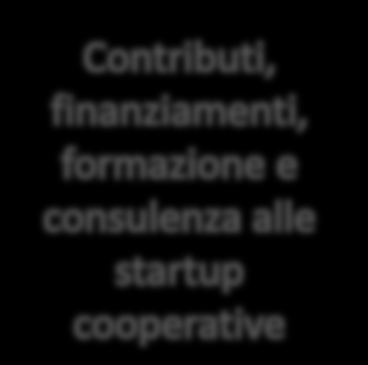 Un gruppo di lavoro eterogeneo, aperto e in crescita Processi di medio-lungo periodo: dal prestartup al poststartup Una rete sempre più ampia di partner qualificati Comunicazione: identità visiva,