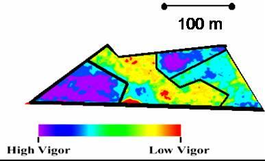 Introduzione L agricoltura di precisione consiste nella gestione agronomica differenziata del campo considerando la variabilità spaziale presente nel terreno.