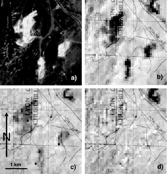 CAPITOLO PRIMO La figura mostra l effetto dell albedo sull LST (Land Surface Temperature).