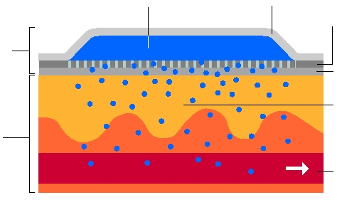 adesivo molecole di fentanyl circolo sistemico RESERVOIR sistema a matrice cute