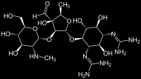 Streptomicina SPETTRO d AZIONE ESTESO: Inattivi nei confronti degli anaerobi Gram+ e Gram-