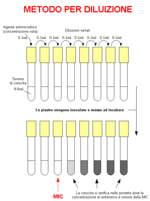 Preparare una serie di provette contenenti terreno con diverse concentrazioni di antibiotico, ed inocularle con quantità convenzionali (5 x 10 5 cfu/ml) dell organismo