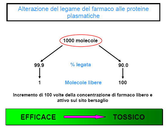 Caratteristiche del legame: è solitamente reversibile condiziona la concentrazione di farmaco nei tessuti e nella sua sede d azione condiziona, in parte, il metabolismo e l