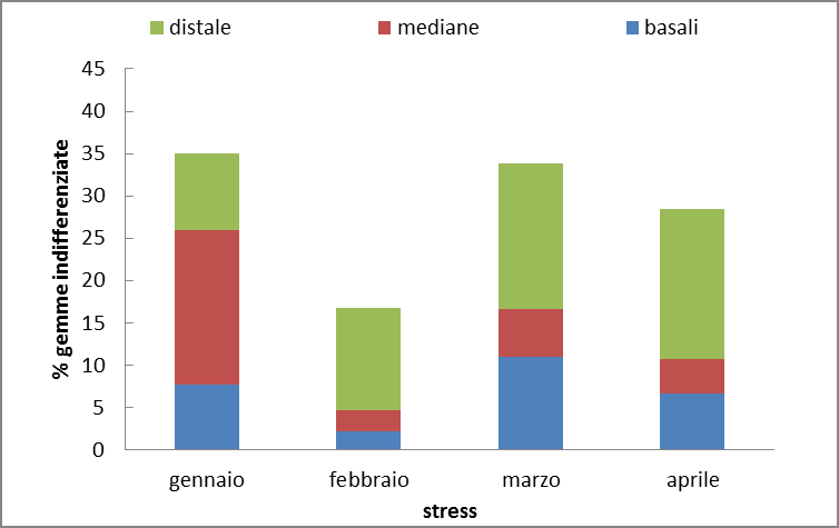 quella di gennaio, si assiste ad un aumento nella percentuale di gemme: 12% in febbraio e 17 % in marzo-aprile. Figura 3.