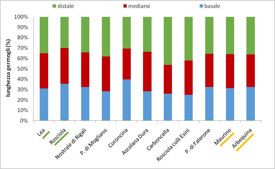 Fig. 3.26: Distribuzione dei germogli nelle porzioni della branca, 2014. Le colonne rappresentano la media percentuale.
