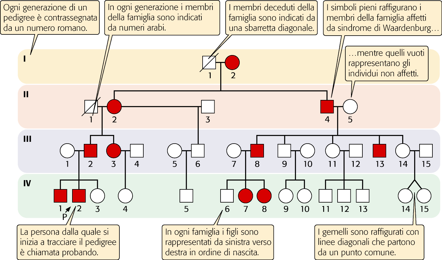 Simbologia negli