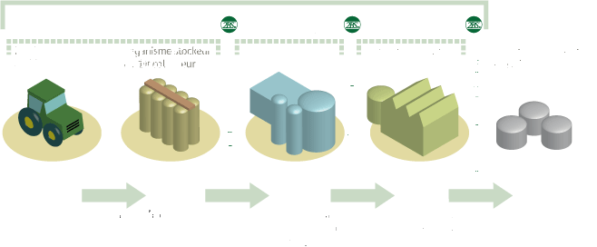 PRINCIPALI ATTORI DELLA FILIERA Unità di certificazione Unità di certificazione Unità di certificazione Produttore di biomassa Organismo collettore Unità di trasformazione Altra Unità Requisiti per