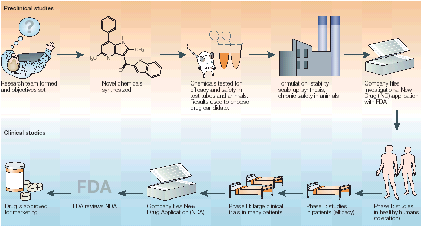 Studi Preclinici Ricercatori e Scopi della Ricerca Sintesi di Nuovi Composti Chimici Test in vitro e in Animali.